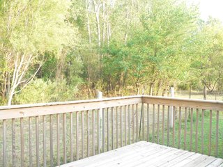 Property photo 14 - Real Estate Auction - Equine Facility, Residences & Industrial Lots Still Available!