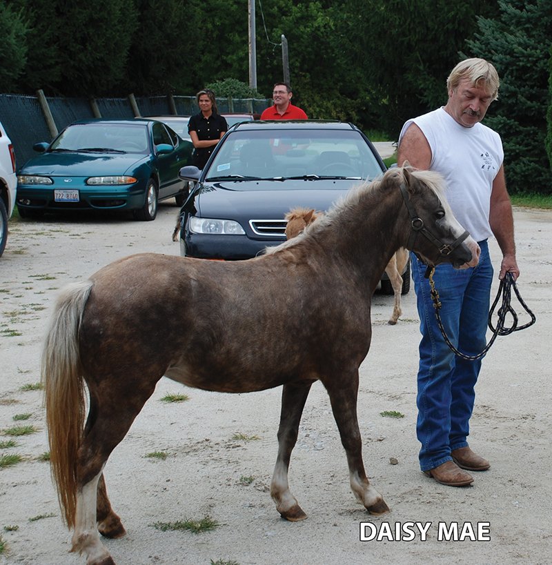 Property photo 26 - Armstrong Stables Personal Property Auction