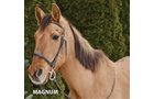 Magnuk - Armstrong Stables Personal Property Auction
