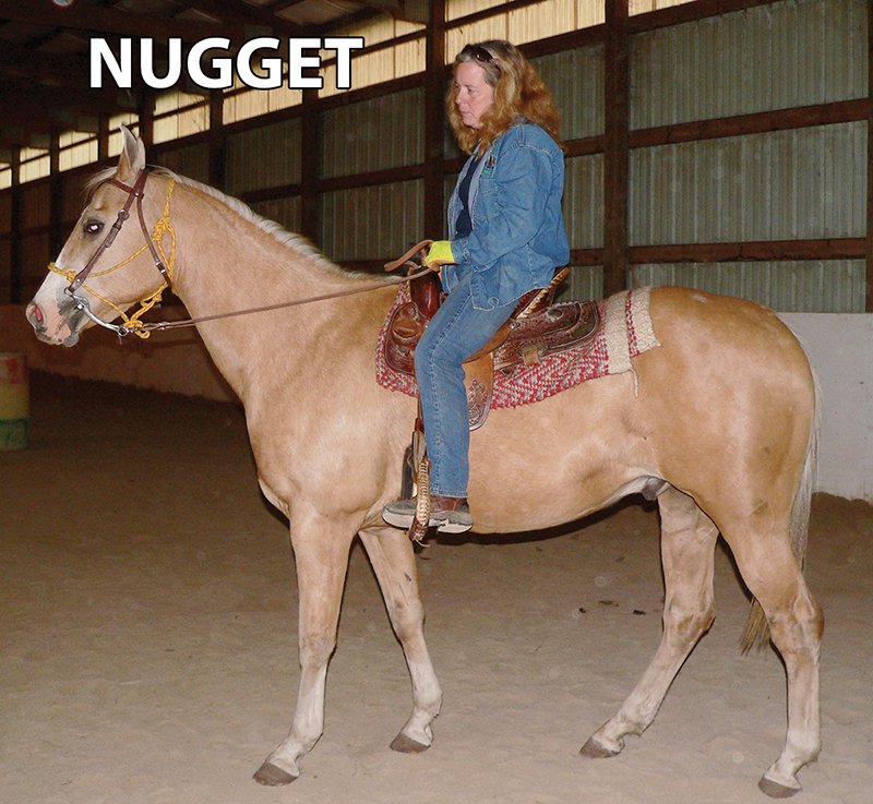 Nugget - Armstrong Stables Personal Property Auction