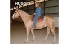 Nugget - Armstrong Stables Personal Property Auction
