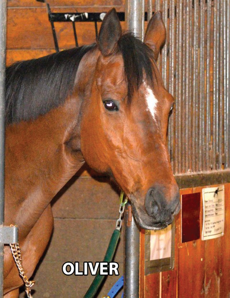 Oliver - Armstrong Stables Personal Property Auction