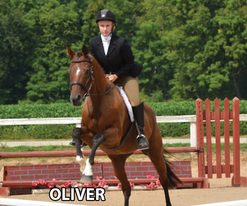 Oliver - Armstrong Stables Personal Property Auction