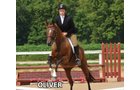 Oliver - Armstrong Stables Personal Property Auction