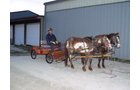 Property photo 73 - Armstrong Stables Personal Property Auction
