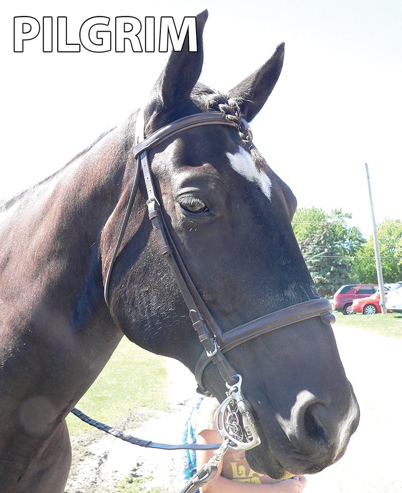 Property photo 12 - Armstrong Stables Personal Property Auction