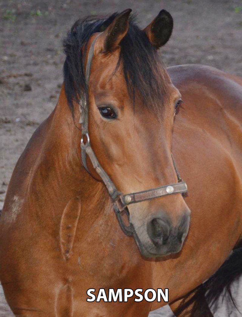 Sampson - Armstrong Stables Personal Property Auction