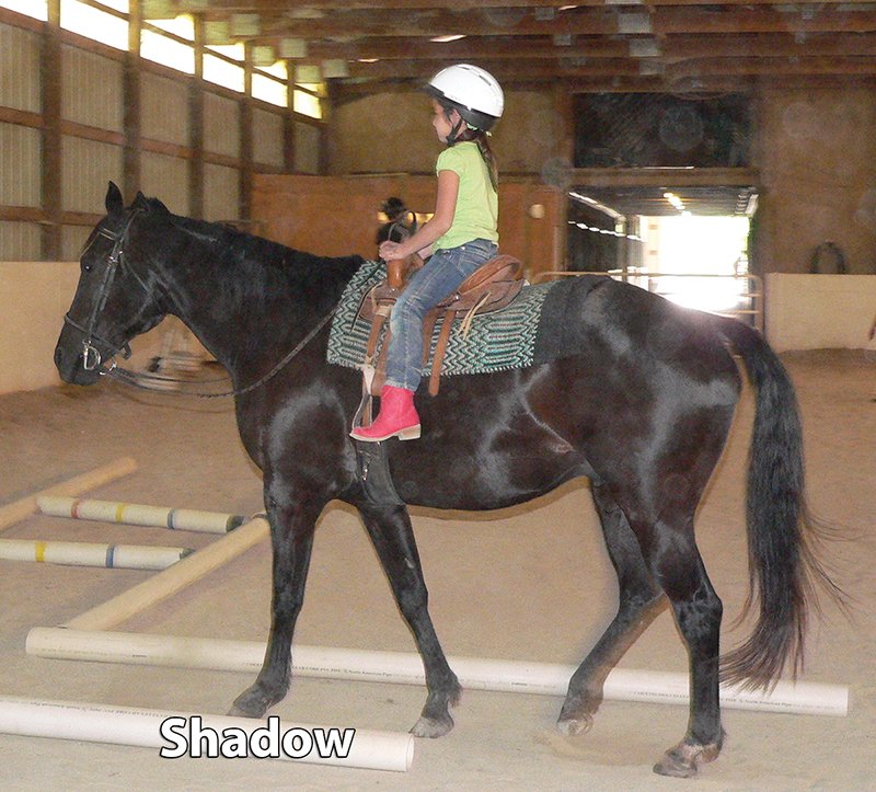 Property photo 10 - Armstrong Stables Personal Property Auction
