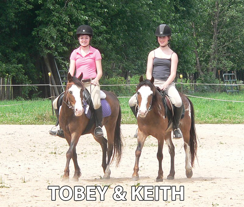Tobey & Keith - Armstrong Stables Personal Property Auction