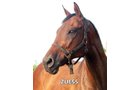 Zuess - Armstrong Stables Personal Property Auction