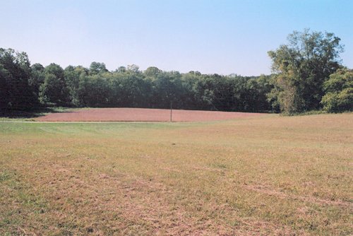 Property photo 3 - 300 +/- Acres Offered in 2 Tracts - Lawrence County, IN Land Auction
