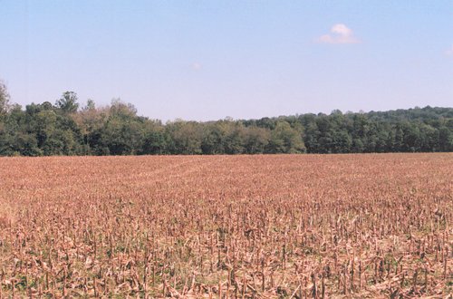 Property photo 9 - 300 +/- Acres Offered in 2 Tracts - Lawrence County, IN Land Auction
