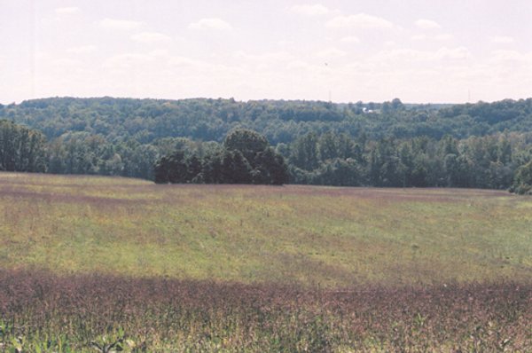 300 +/- Acres Offered in 2 Tracts - Lawrence County, IN Land Auction