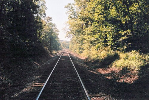 Property photo 8 - 300 +/- Acres Offered in 2 Tracts - Lawrence County, IN Land Auction