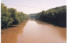 Property photo 5 - 300 +/- Acres Offered in 2 Tracts - Lawrence County, IN Land Auction