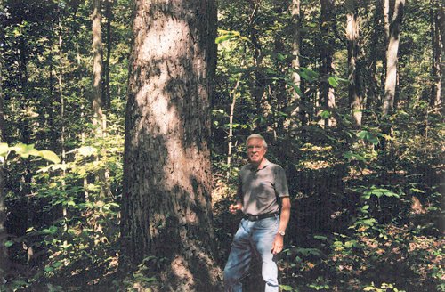 Property photo 2 - 300 +/- Acres Offered in 2 Tracts - Lawrence County, IN Land Auction