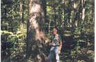 Property photo 2 - 300 +/- Acres Offered in 2 Tracts - Lawrence County, IN Land Auction