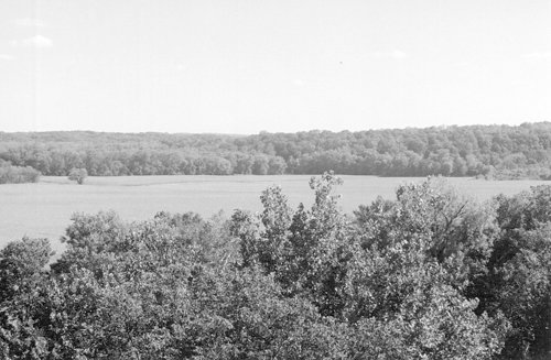 Property photo 12 - 300 +/- Acres Offered in 2 Tracts - Lawrence County, IN Land Auction