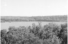 Property photo 12 - 300 +/- Acres Offered in 2 Tracts - Lawrence County, IN Land Auction
