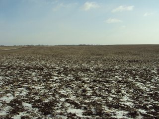 Property photo 7 - 116 +/- Acres Offered in 1 Tract - Pocahontas County, Iowa Land Auction
