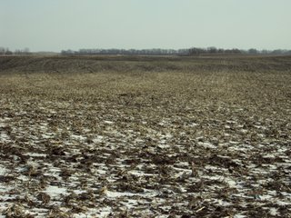 Property photo 3 - 116 +/- Acres Offered in 1 Tract - Pocahontas County, Iowa Land Auction