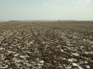 Property photo 8 - 116 +/- Acres Offered in 1 Tract - Pocahontas County, Iowa Land Auction