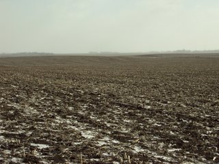 Property photo 13 - 116 +/- Acres Offered in 1 Tract - Pocahontas County, Iowa Land Auction
