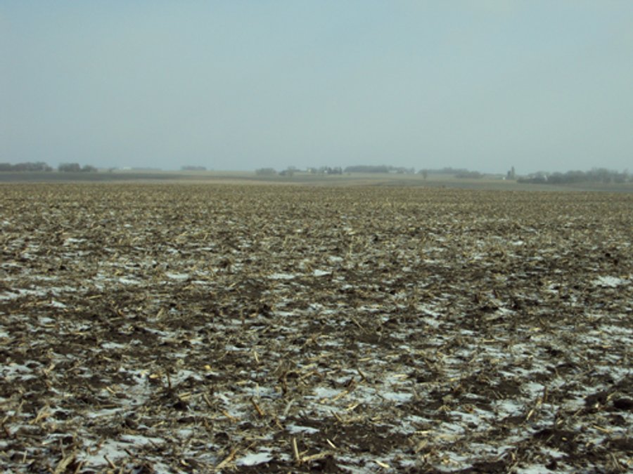 116 +/- Acres Offered in 1 Tract - Pocahontas County, Iowa Land Auction
