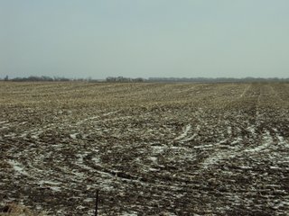 Property photo 12 - 116 +/- Acres Offered in 1 Tract - Pocahontas County, Iowa Land Auction