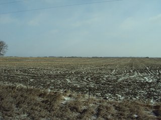 Property photo 14 - 116 +/- Acres Offered in 1 Tract - Pocahontas County, Iowa Land Auction