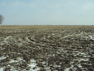 Property photo 4 - 116 +/- Acres Offered in 1 Tract - Pocahontas County, Iowa Land Auction