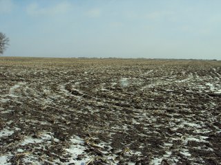Property photo 1 - 116 +/- Acres Offered in 1 Tract - Pocahontas County, Iowa Land Auction