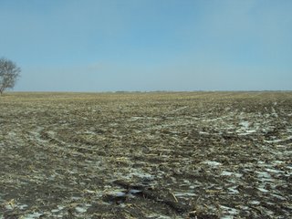 Property photo 11 - 116 +/- Acres Offered in 1 Tract - Pocahontas County, Iowa Land Auction
