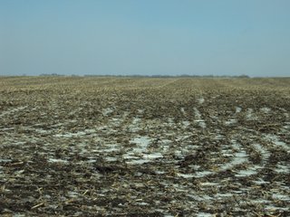 Property photo 10 - 116 +/- Acres Offered in 1 Tract - Pocahontas County, Iowa Land Auction