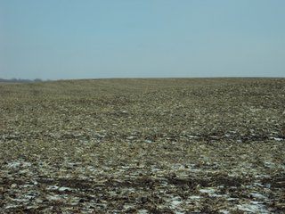 Property photo 2 - 116 +/- Acres Offered in 1 Tract - Pocahontas County, Iowa Land Auction