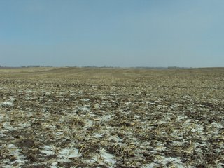 Property photo 9 - 116 +/- Acres Offered in 1 Tract - Pocahontas County, Iowa Land Auction