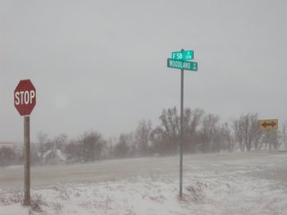 Property photo 11 - 160 +/- Acres Offered in 1 Tract - Shelby County, Iowa Land Auction