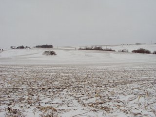 Property photo 8 - 160 +/- Acres Offered in 1 Tract - Shelby County, Iowa Land Auction