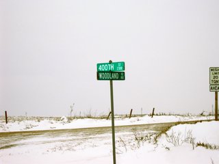 Property photo 9 - 160 +/- Acres Offered in 1 Tract - Shelby County, Iowa Land Auction