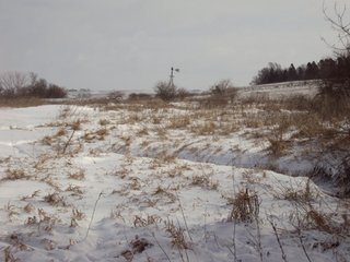 Property photo 13 - 160 +/- Acres Offered in 1 Tract - Shelby County, Iowa Land Auction