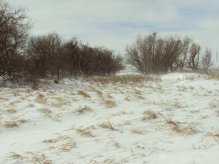Property photo 10 - 160 +/- Acres Offered in 1 Tract - Shelby County, Iowa Land Auction