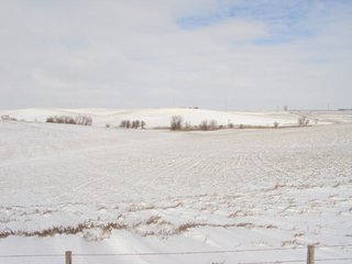 Property photo 7 - 160 +/- Acres Offered in 1 Tract - Shelby County, Iowa Land Auction