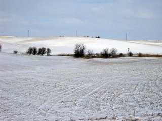 Property photo 6 - 160 +/- Acres Offered in 1 Tract - Shelby County, Iowa Land Auction