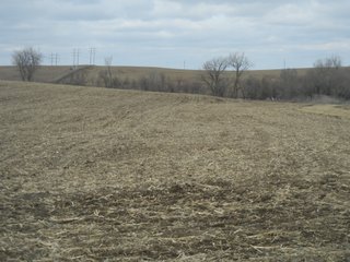 Property photo 5 - 160 +/- Acres Offered in 1 Tract - Shelby County, Iowa Land Auction