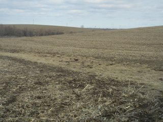 Property photo 4 - 160 +/- Acres Offered in 1 Tract - Shelby County, Iowa Land Auction