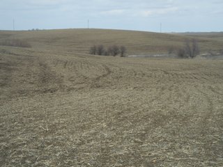 Property photo 3 - 160 +/- Acres Offered in 1 Tract - Shelby County, Iowa Land Auction