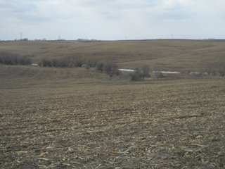Property photo 2 - 160 +/- Acres Offered in 1 Tract - Shelby County, Iowa Land Auction