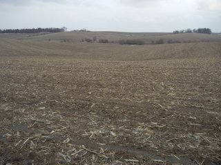 Property photo 1 - 160 +/- Acres Offered in 1 Tract - Shelby County, Iowa Land Auction