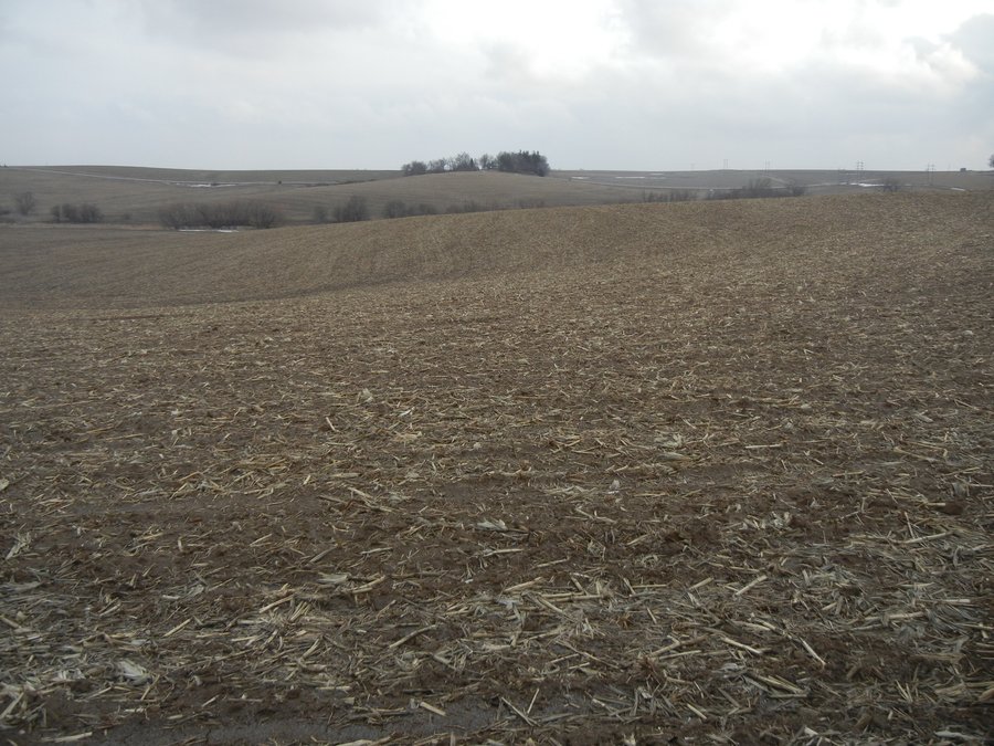 160 +/- Acres Offered in 1 Tract - Shelby County, Iowa Land Auction
