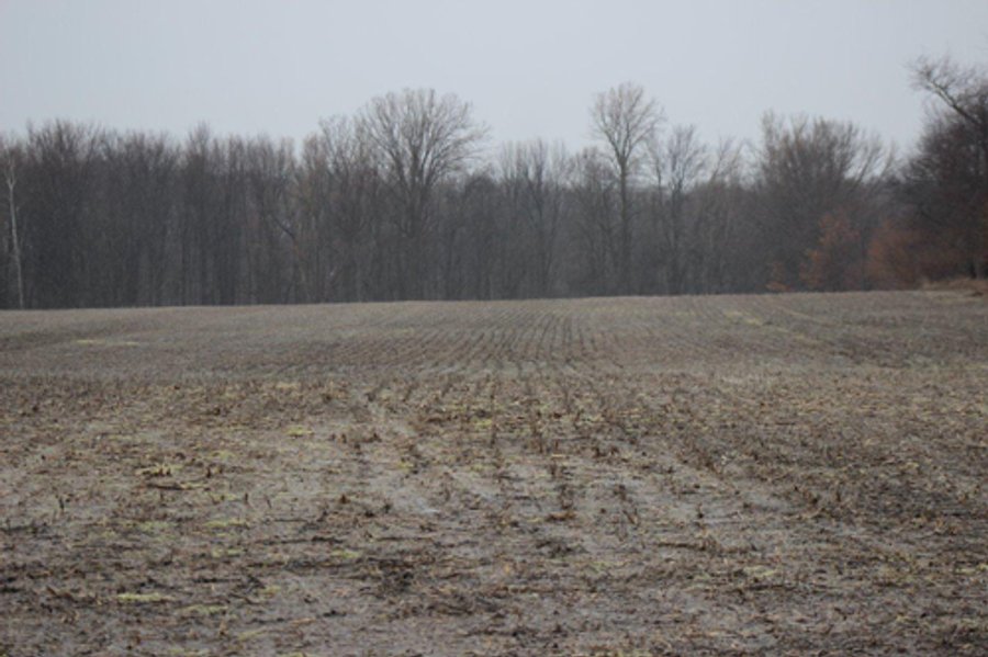 80 +/- Acres Offered in 2 Tracts - Kosciusko County Farm Auction